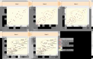 17-05-Richesse-ESP.gif